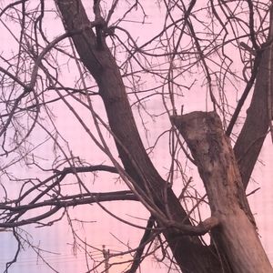 Meet your Posher, Max